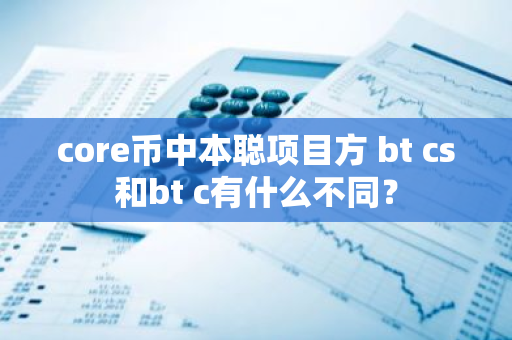 core币中本聪项目方 bt cs和bt c有什么不同？