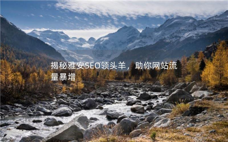 揭秘雅安SEO领头羊，助你网站流量暴增