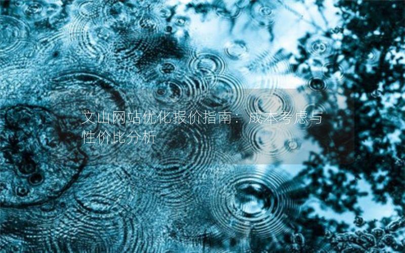 文山网站优化报价指南：成本考虑与性价比分析