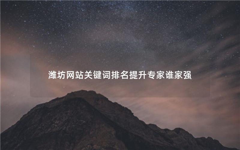 潍坊网站关键词排名提升专家谁家强