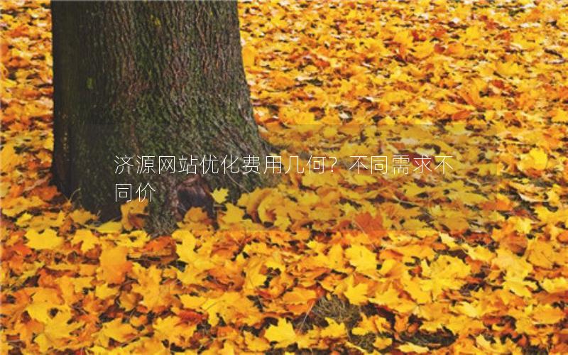 济源网站优化费用几何？不同需求不同价