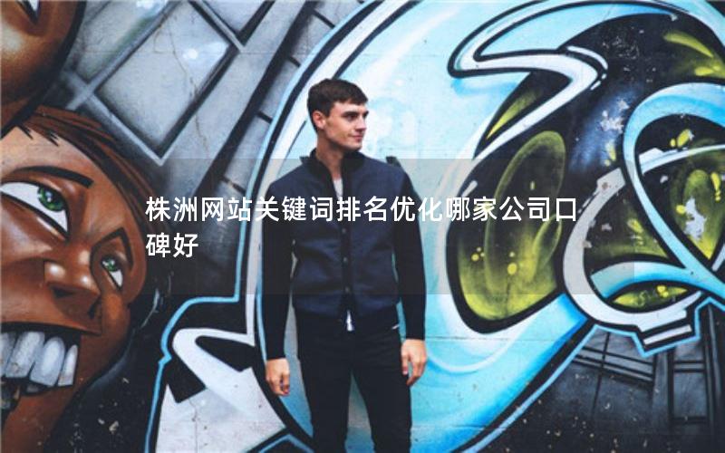株洲网站关键词排名优化哪家公司口碑好
