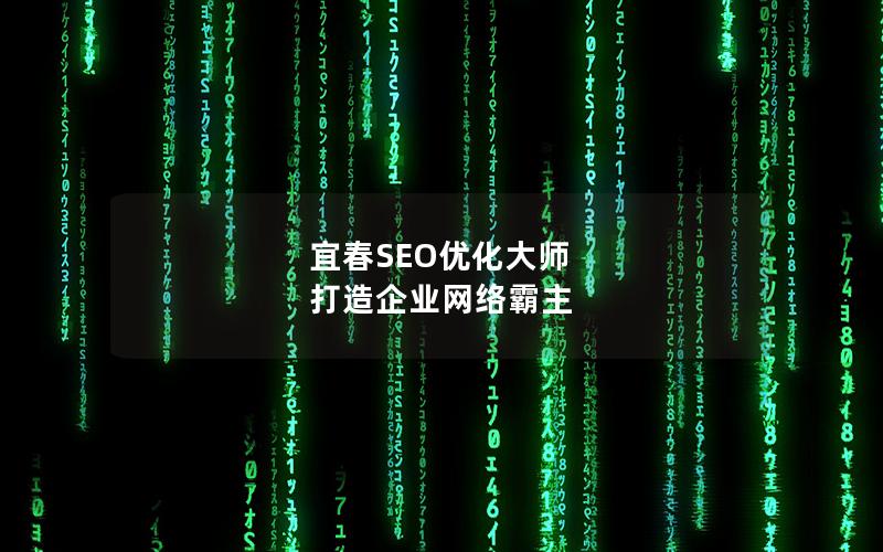 宜春SEO优化大师 打造企业网络霸主