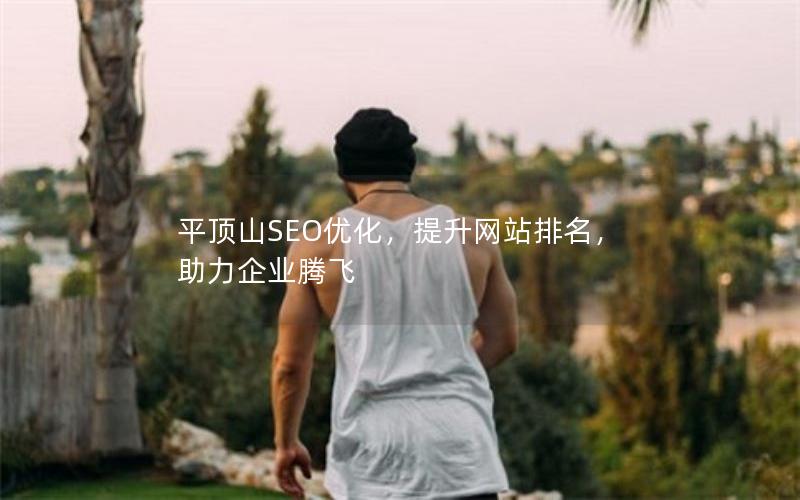 平顶山SEO优化，提升网站排名，助力企业腾飞