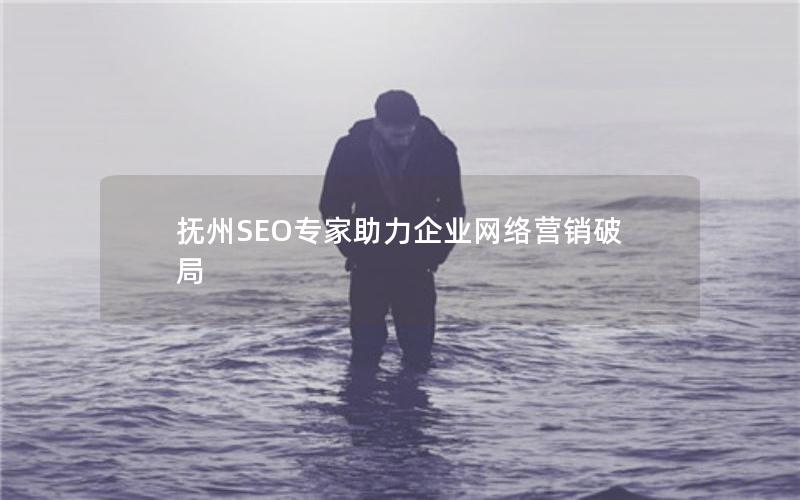 抚州SEO专家助力企业网络营销破局