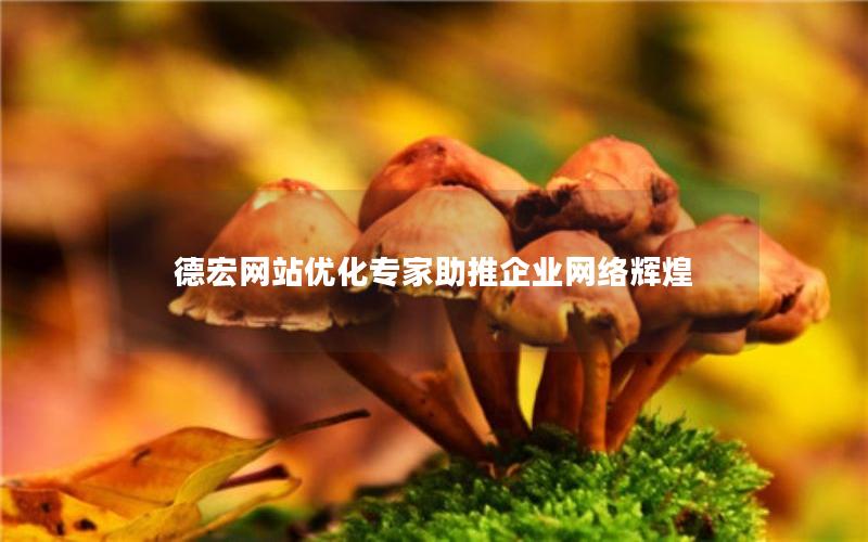德宏网站优化专家助推企业网络辉煌