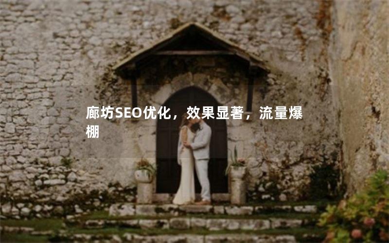 廊坊SEO优化，效果显著，流量爆棚