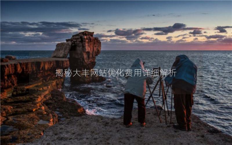 揭秘大丰网站优化费用详细解析