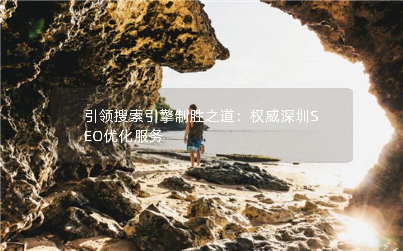 引领搜索引擎制胜之道：权威深圳SEO优化服务