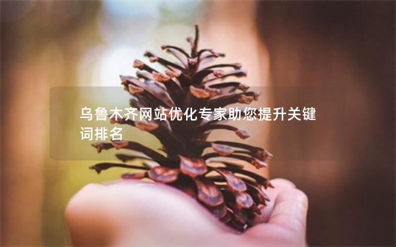 乌鲁木齐网站优化专家助您提升关键词排名