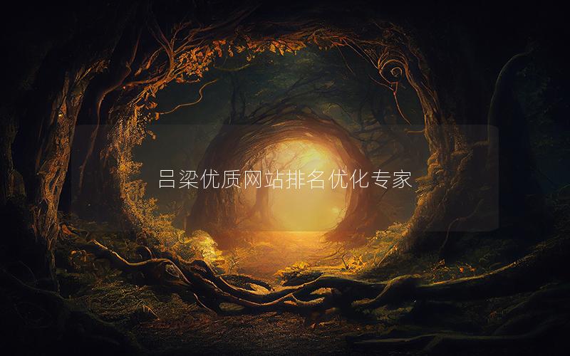 吕梁优质网站排名优化专家