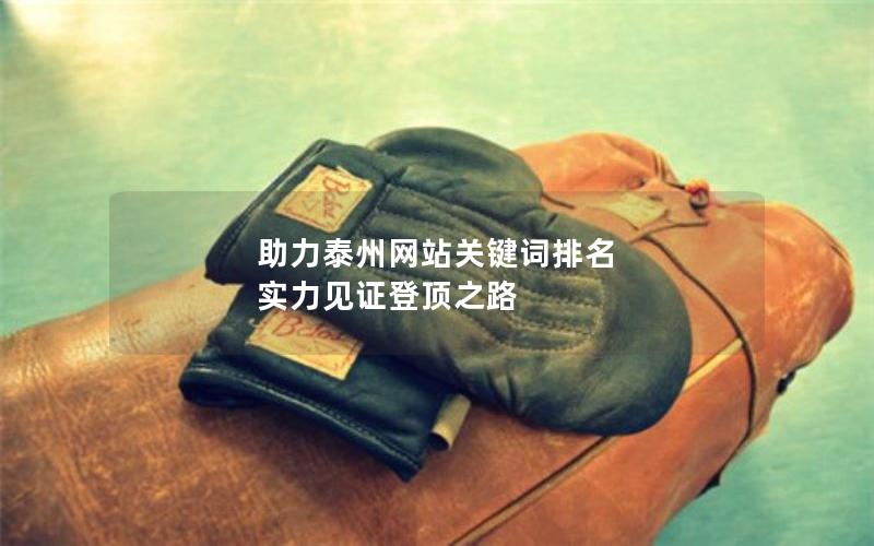 助力泰州网站关键词排名 实力见证登顶之路