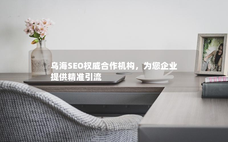 乌海SEO权威合作机构，为您企业提供精准引流