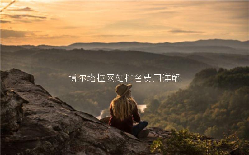 博尔塔拉网站排名费用详解