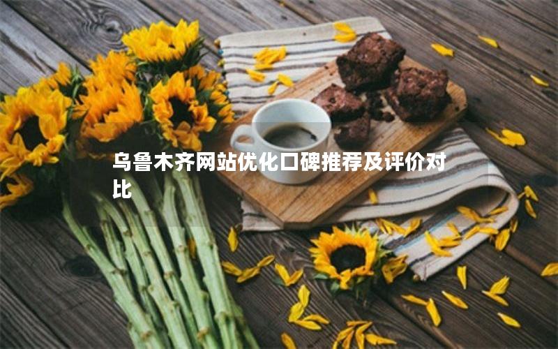 乌鲁木齐网站优化口碑推荐及评价对比