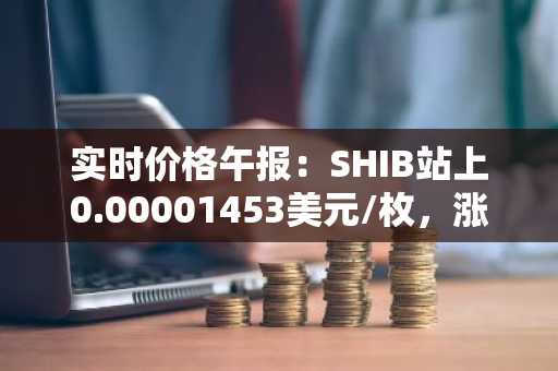 实时价格午报：SHIB站上0.00001453美元/枚，涨幅达2.04%