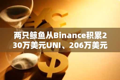 两只鲸鱼从Binance积累230万美元UNI、206万美元MKR和1390万美元AUCTION