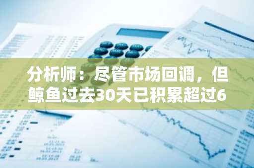 分析师：尽管市场回调，但鲸鱼过去30天已积累超过6.5万枚BTC