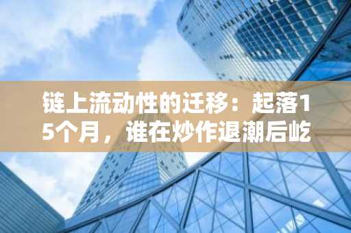 链上流动性的迁移：起落15个月，谁在炒作退潮后屹立不倒？