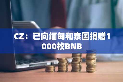 CZ：已向缅甸和泰国捐赠1000枚BNB