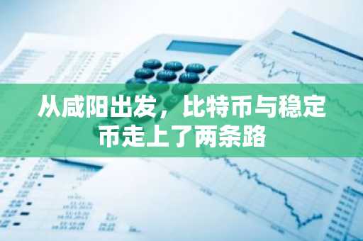 从咸阳出发，比特币与稳定币走上了两条路