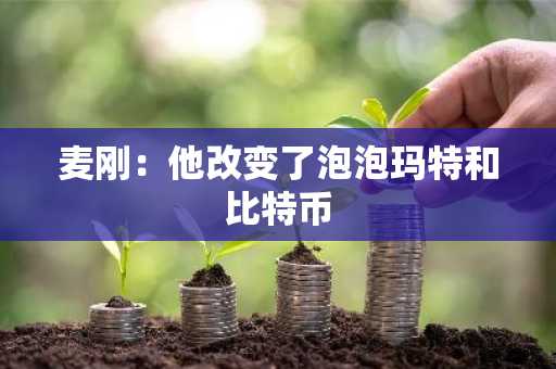 麦刚：他改变了泡泡玛特和比特币